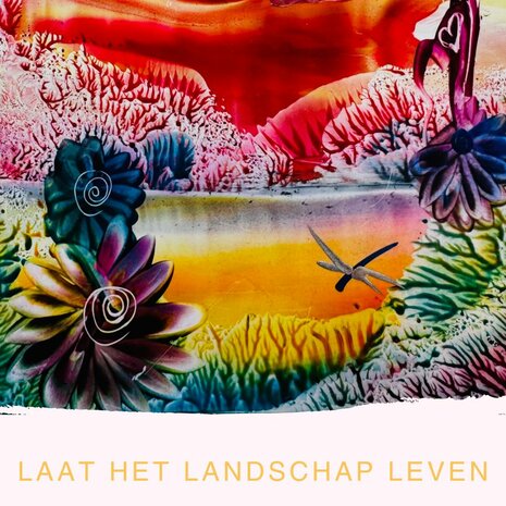 Donderdag 6 november 13:30-15:30