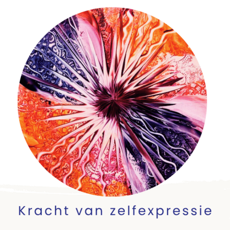 Donderdag 6 november 10:00-12:00