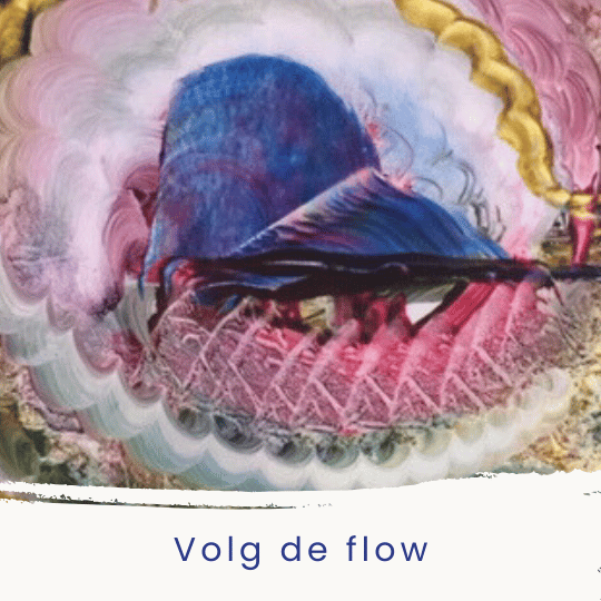 Donderdag 29 oktober 10:00-15:00 