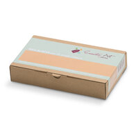 Encaustic Art wax - (30) pastel abrikoos doosje 16 st. 