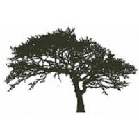 Encaustic Art stempel - boom (eik)